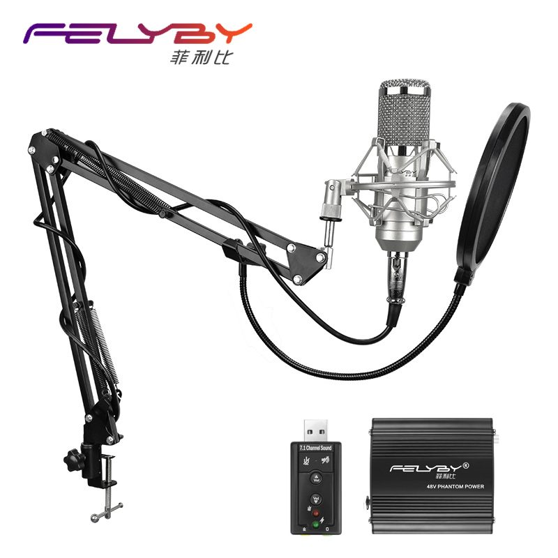 FELYBY Professional Handheld Condenser Microphone
