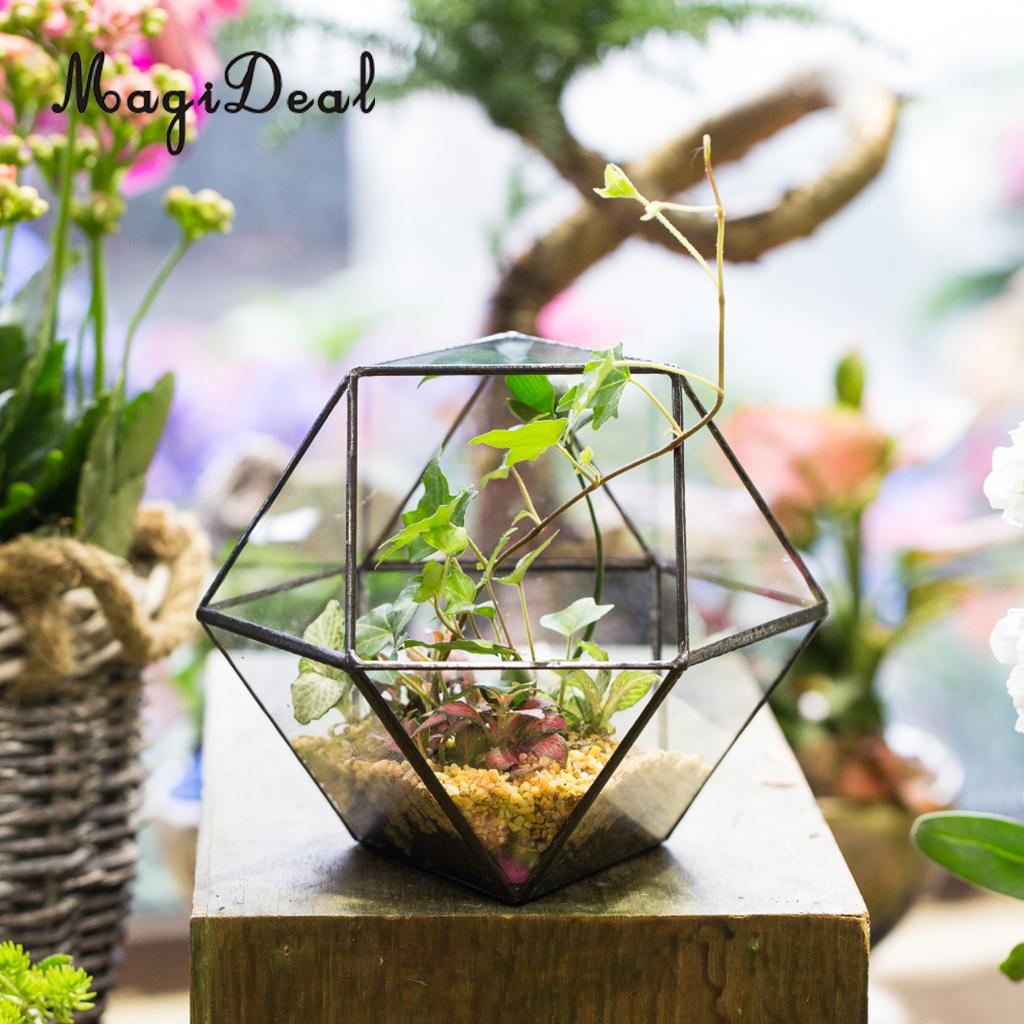 MagiDeal Modern Tabletop Glass Terrarium Planter Box